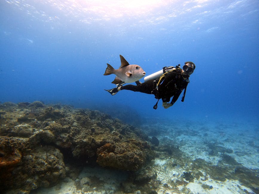 Hotels with Private Submarines for Underwater Exploration