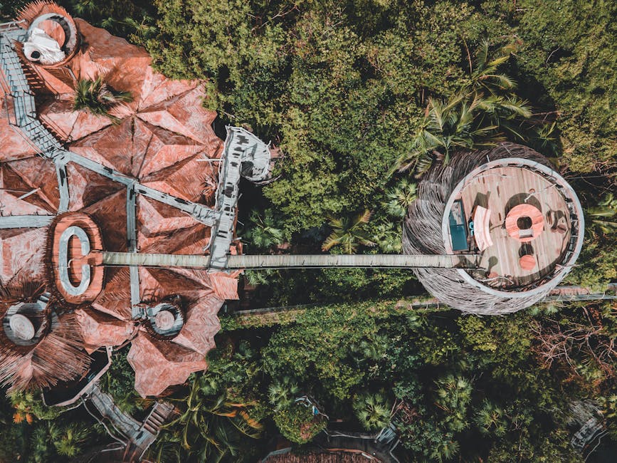 The Most Unique Luxury Treehouse Hotels Around the Globe